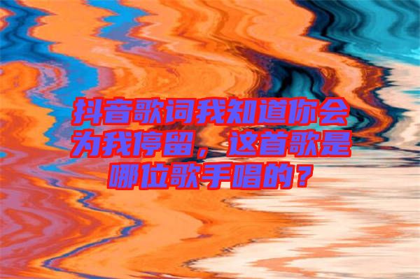 抖音歌詞我知道你會(huì)為我停留，這首歌是哪位歌手唱的？