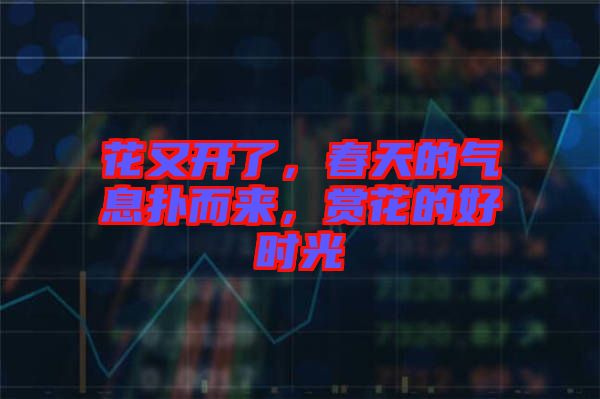 花又開了，春天的氣息撲而來，賞花的好時光