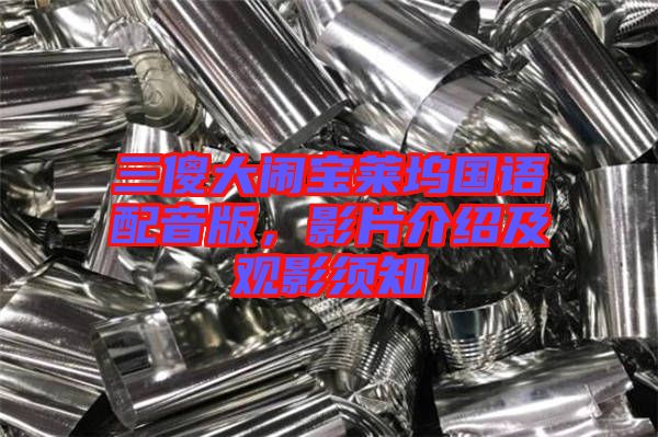 三傻大鬧寶萊塢國語配音版，影片介紹及觀影須知