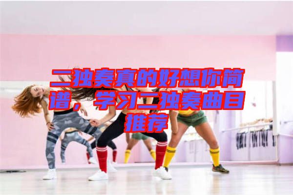 二獨奏真的好想你簡譜，學(xué)習(xí)二獨奏曲目推薦