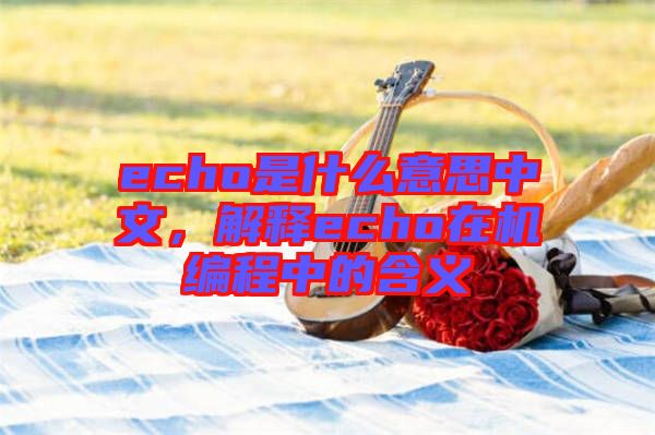 echo是什么意思中文，解釋echo在機(jī)編程中的含義