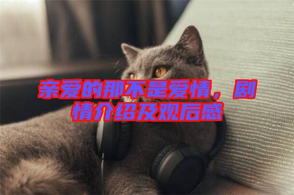 親愛的那不是愛情，劇情介紹及觀后感