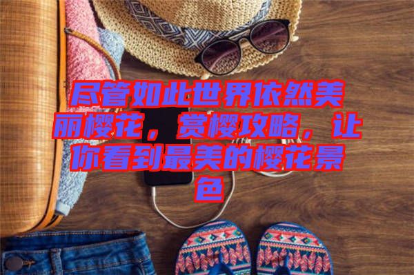 盡管如此世界依然美麗櫻花，賞櫻攻略，讓你看到最美的櫻花景色