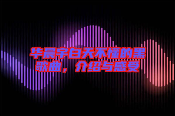 華晨宇白天不懂的黑歌曲，介紹與感受