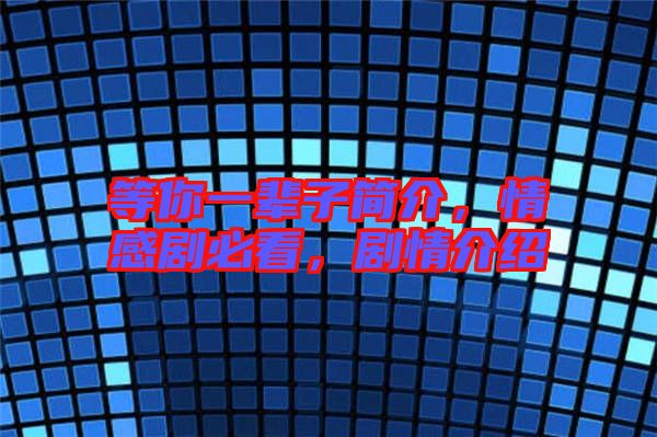 等你一輩子簡介，情感劇必看，劇情介紹
