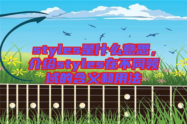 styles是什么意思，介紹styles在不同領(lǐng)域的含義和用法