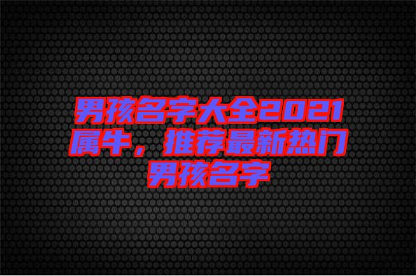 男孩名字大全2021屬牛，推薦最新熱門男孩名字