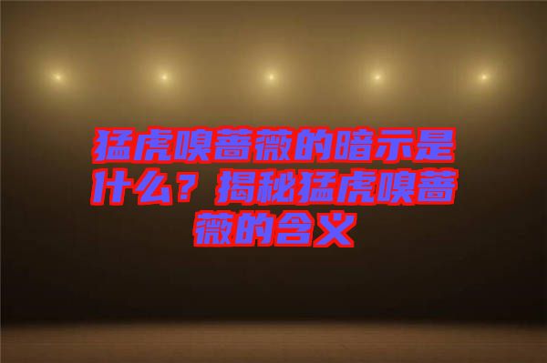 猛虎嗅薔薇的暗示是什么？揭秘猛虎嗅薔薇的含義