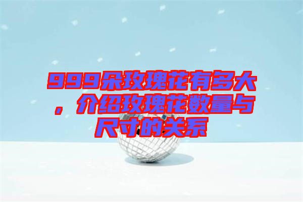999朵玫瑰花有多大，介紹玫瑰花數(shù)量與尺寸的關(guān)系
