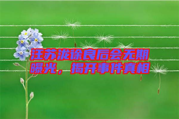 汪蘇瀧徐良后會(huì)無(wú)期曝光，揭開事件真相