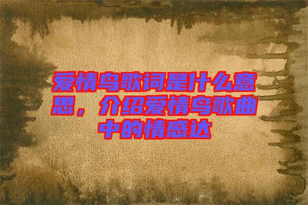 愛情鳥歌詞是什么意思，介紹愛情鳥歌曲中的情感達(dá)