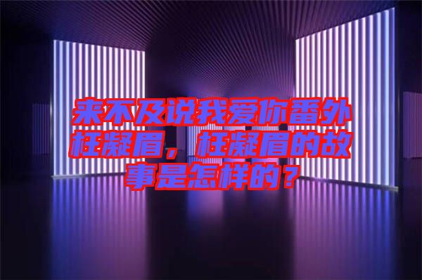 來不及說我愛你番外枉凝眉，枉凝眉的故事是怎樣的？