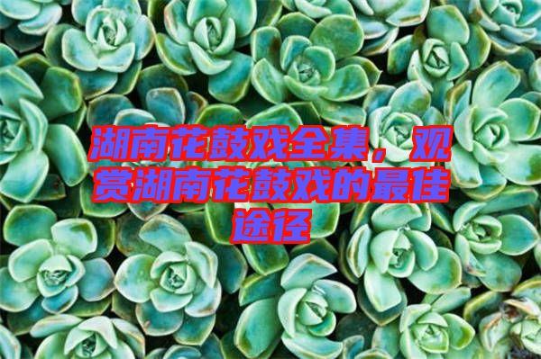 湖南花鼓戲全集，觀賞湖南花鼓戲的最佳途徑