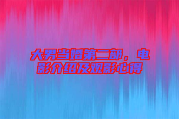 大男當(dāng)婚第二部，電影介紹及觀影心得