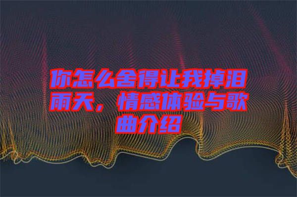 你怎么舍得讓我掉淚雨天，情感體驗與歌曲介紹