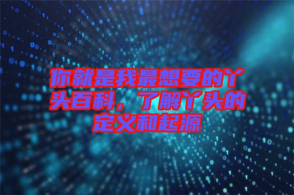 你就是我最想要的丫頭百科，了解丫頭的定義和起源