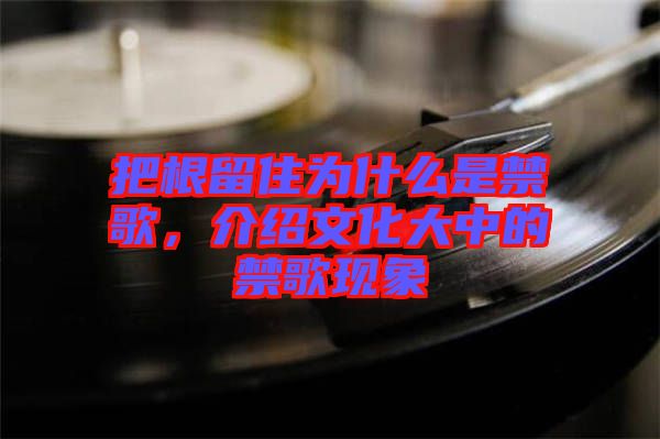 把根留住為什么是禁歌，介紹文化大中的禁歌現(xiàn)象