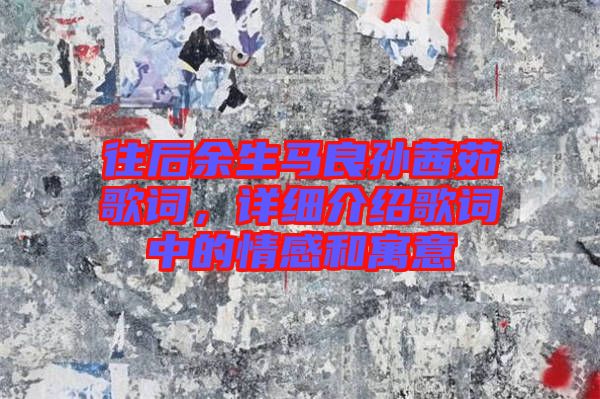 往后余生馬良孫茜茹歌詞，詳細(xì)介紹歌詞中的情感和寓意