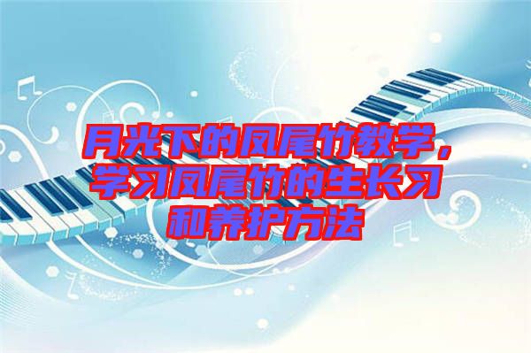 月光下的鳳尾竹教學(xué)，學(xué)習(xí)鳳尾竹的生長習(xí)和養(yǎng)護(hù)方法