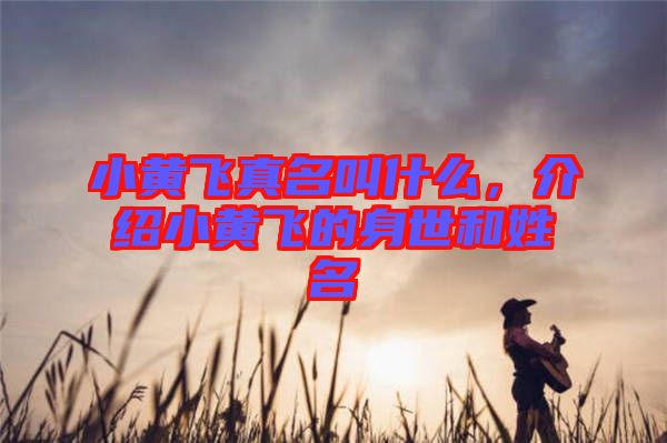 小黃飛真名叫什么，介紹小黃飛的身世和姓名