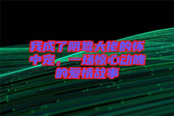 我成了陰鷙大佬的懷中寵，一場驚心動(dòng)魄的愛情故事