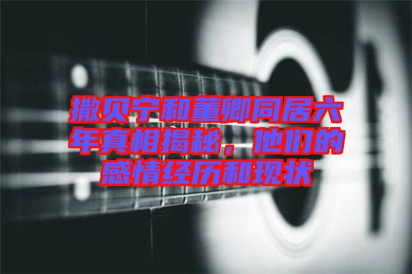 撒貝寧和董卿同居六年真相揭秘，他們的感情經歷和現狀