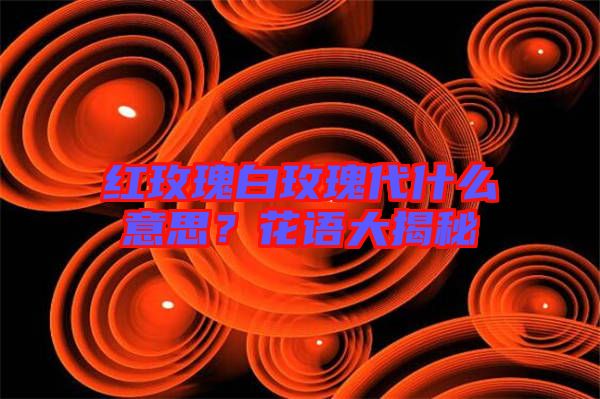 紅玫瑰白玫瑰代什么意思？花語大揭秘
