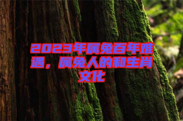 2023年屬兔百年難遇，屬兔人的和生肖文化