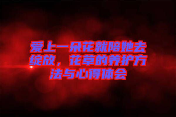 愛(ài)上一朵花就陪她去綻放，花草的養(yǎng)護(hù)方法與心得體會(huì)