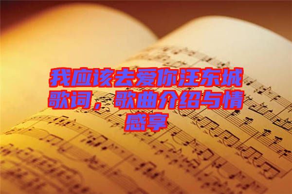 我應(yīng)該去愛你汪東城歌詞，歌曲介紹與情感享