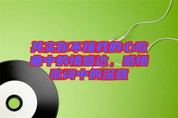 其實(shí)你不懂我的心歌曲中的情感達(dá)，感悟歌詞中的深意