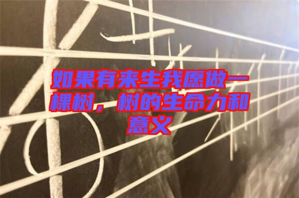 如果有來生我愿做一棵樹，樹的生命力和意義