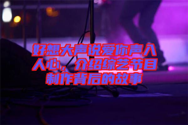 好想大聲說(shuō)愛(ài)你聲入人心，介紹綜藝節(jié)目制作背后的故事
