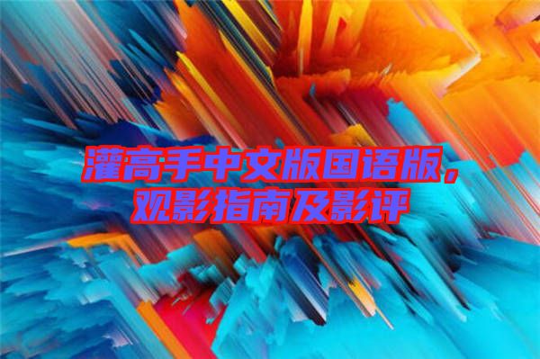 灌高手中文版國(guó)語(yǔ)版，觀影指南及影評(píng)