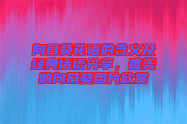 向日葵花語的含義及經(jīng)典話語分享，唯美的向日葵圖片欣賞
