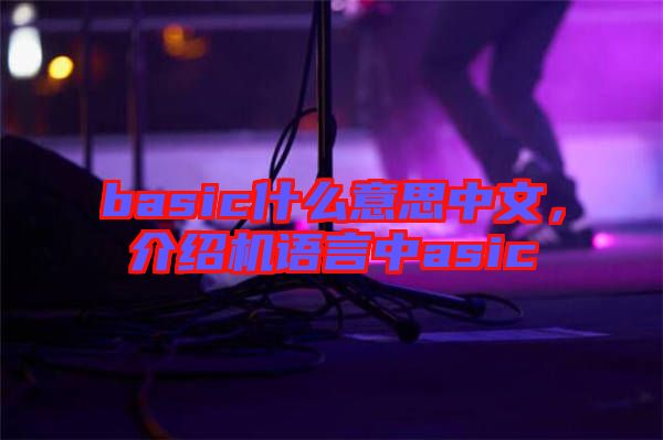 basic什么意思中文，介紹機(jī)語(yǔ)言中asic