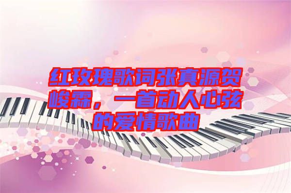 紅玫瑰歌詞張真源賀峻霖，一首動人心弦的愛情歌曲
