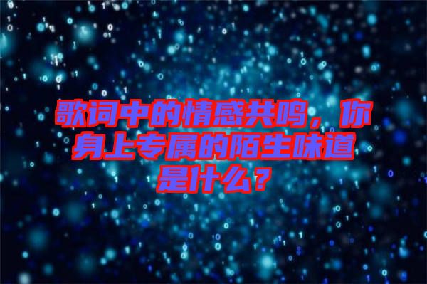 歌詞中的情感共鳴，你身上專屬的陌生味道是什么？