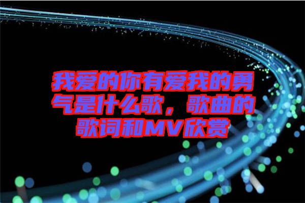 我愛的你有愛我的勇氣是什么歌，歌曲的歌詞和MV欣賞