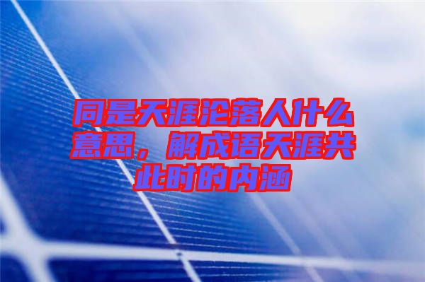 同是天涯淪落人什么意思，解成語天涯共此時的內涵