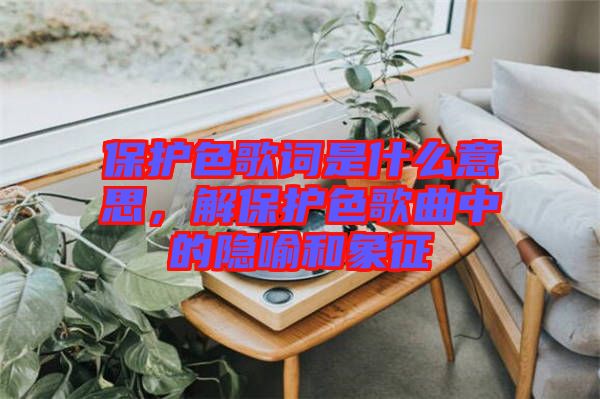 保護(hù)色歌詞是什么意思，解保護(hù)色歌曲中的隱喻和象征