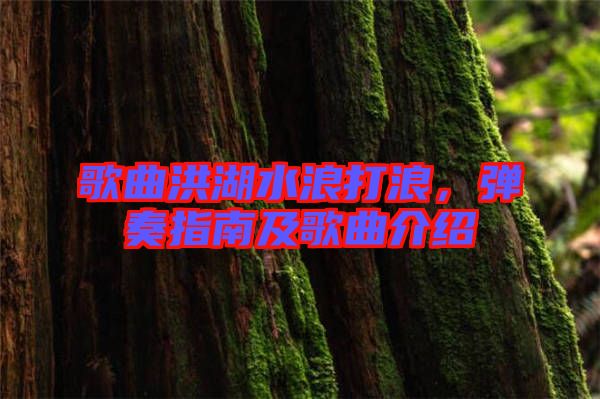歌曲洪湖水浪打浪，彈奏指南及歌曲介紹