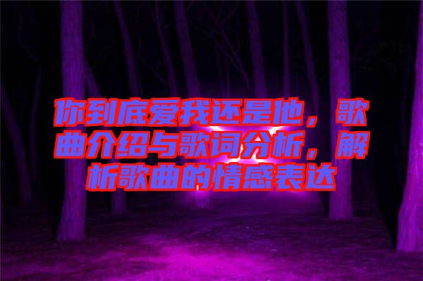 你到底愛我還是他，歌曲介紹與歌詞分析，解析歌曲的情感表達(dá)