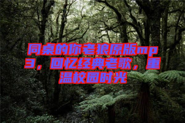同桌的你老狼原版mp3，回憶經(jīng)典老歌，重溫校園時(shí)光