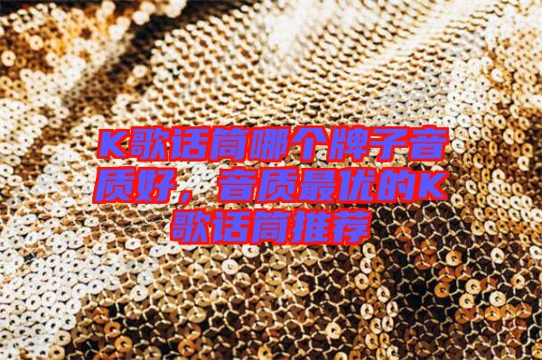 K歌話筒哪個(gè)牌子音質(zhì)好，音質(zhì)最優(yōu)的K歌話筒推薦
