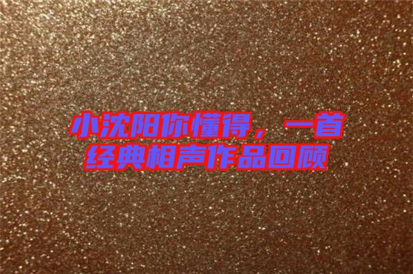 小沈陽你懂得，一首經(jīng)典相聲作品回顧