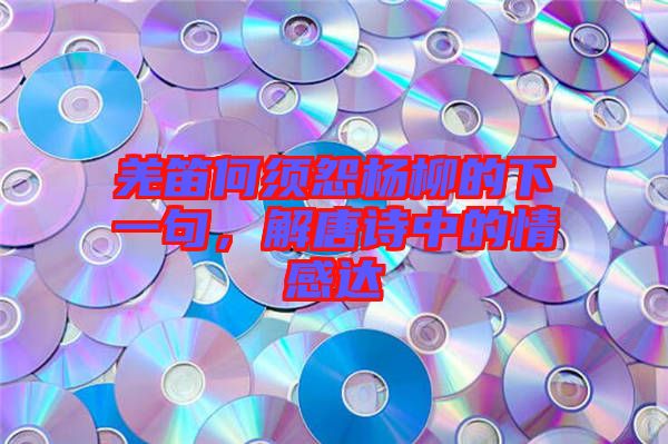 羌笛何須怨楊柳的下一句，解唐詩中的情感達(dá)