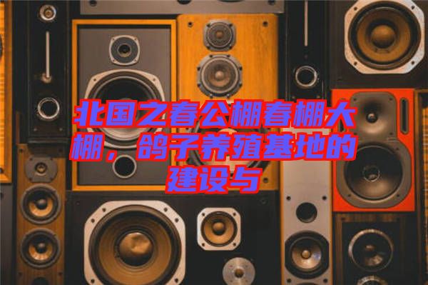 北國之春公棚春棚大棚，鴿子養(yǎng)殖基地的建設(shè)與