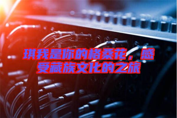 琪我是你的格桑花，感受藏族文化的之旅