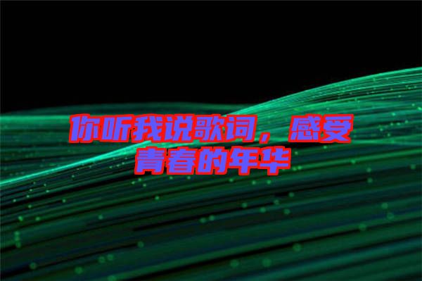 你聽我說歌詞，感受青春的年華